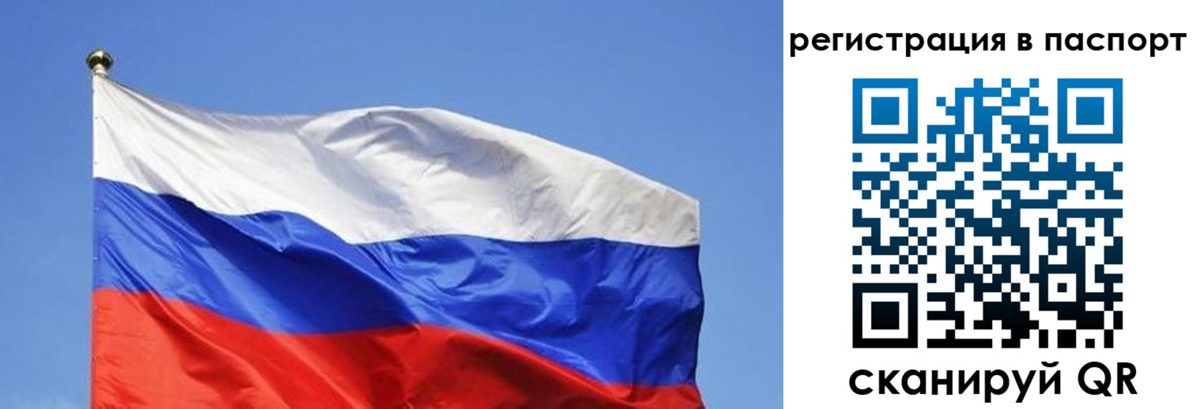 прописка в квартире в Ковылкино